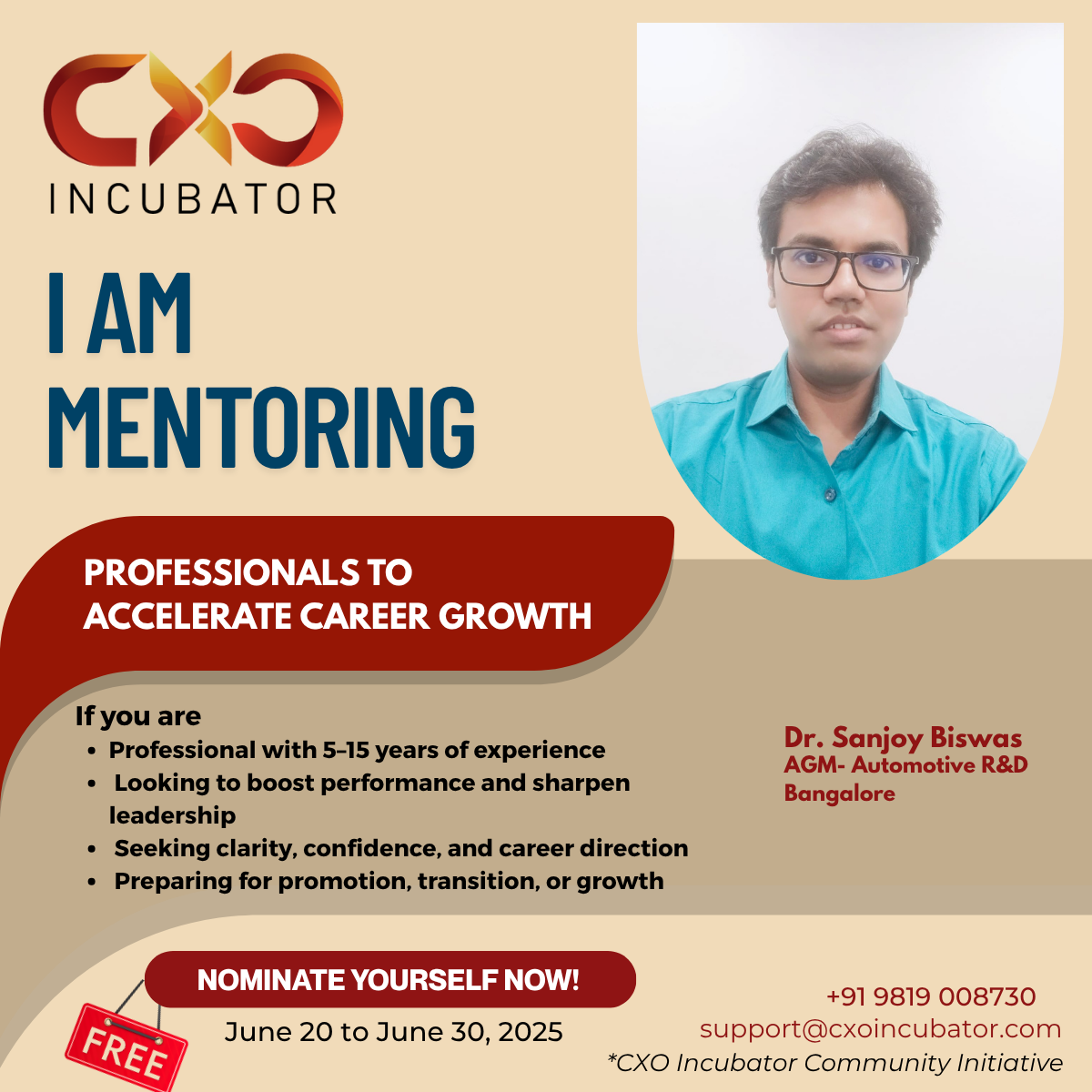 Mentorship for Professionals
